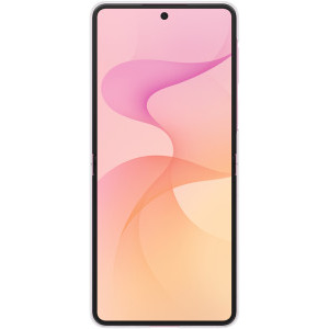 Samsung Protectie pentru spate Clear Magnet pentru Galaxy Z Flip 8