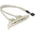 DeLOCK Bracket PCI 9-pin - 2x USB 2.0 Female