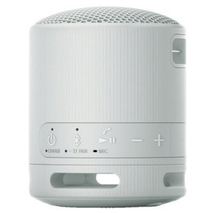 Sony Boxa portabila SRS-XB100H, Grey