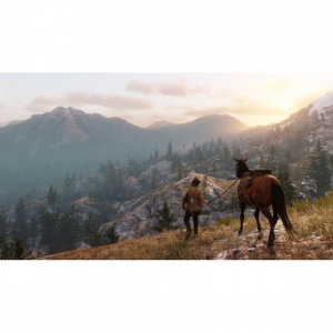 Rockstar RED DEAD REDEMPTION 2 pentru PlayStation 4