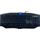 Newmen GL-600