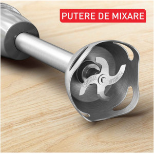 Tefal Mixer vertical QuickChef+ HB673B30, 1000W, 0.8 L / 0.5L, Gri/Argintiu