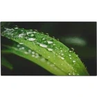 Monitor LED DAHUA LS550KDH-UF 55 inch UHD ADS 8 ms 60 Hz