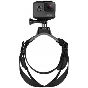 GoPro Fetch - Ham caine