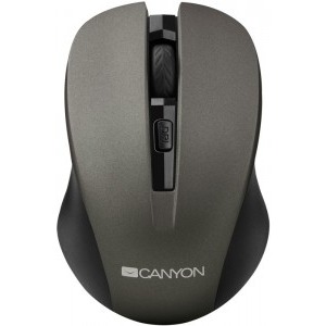 Mouse Canyon CNE-CMSW1, wireless, grey