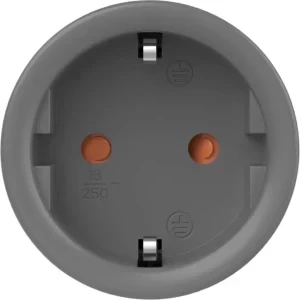 Sonoff Priza Smart S60TPF, Wi-Fi, Control vocal