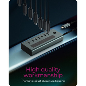Icy Box IB-HUB1457-C31 7-Port USB 3.2 Gen 2 Type-C Hub Grey/Blue