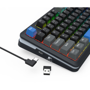 Redragon Cyrus Pro TKL RGB Black/Blue Linear Grey Switch Mecanica