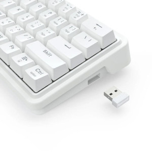 Redragon Draconic V2 Pro RGB White Linear Grey Switch Mecanica