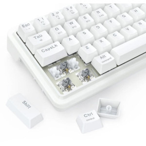 Redragon Draconic V2 Pro RGB White Linear Grey Switch Mecanica