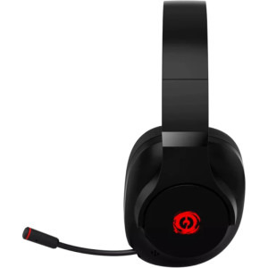 Canyon Ego GH-15 Black