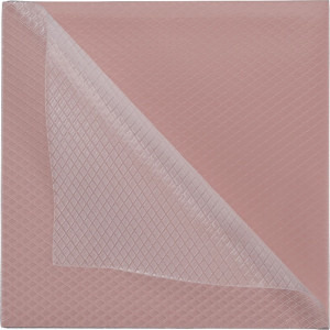 Thermal Grizzly Minus Pad 8 100x100x0.5mm, Pink