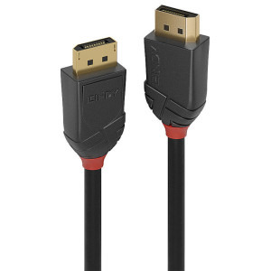 LINDY DisplayPort Male - DisplayPort Male, v2.0, 0.5m, negru