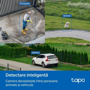 TP-LINK Tapo C530WS 3.2mm
