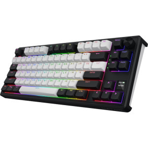 HATOR Skyfall Mag Ultima 8K TKL RGB Black-White Aurum Ice Magnetic Switch Mecanica