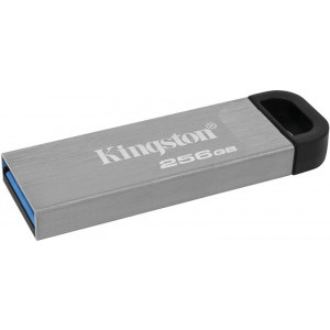 Kingston DataTraveler Keyson 256GB USB 3.2 Silver