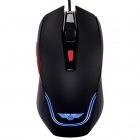 Newmen Galeoid 2200 Black