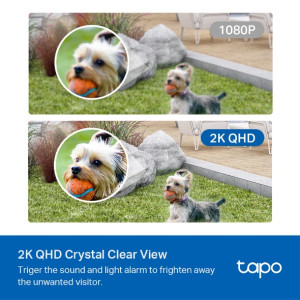 TP-LINK TAPO C420 3.18mm